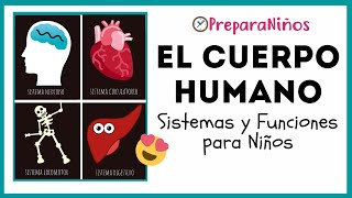 EL CUERPO HUMANO PARA NIÑOS DE PRIMARIA ⏰ PreparaNiñoscom [upl. by Atteloc]