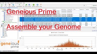 De Novo Genome Assembly using Geneious Prime  Basic Tutorial [upl. by Kristofer]