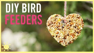 DIY  How to Make a Bird Feeder Easy Kids Craft [upl. by Arodoeht]