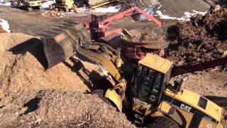 Stump Grinding with Morbark 1300 [upl. by Eimmit]