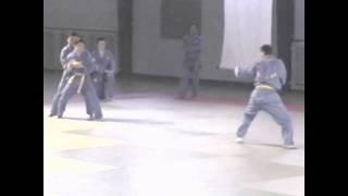 Viet Vo Dao  Double ciseau My double flying catch [upl. by O'Neil]