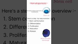 Hematopoiesis 🩸medical science trending viralshort youtube [upl. by Boak]