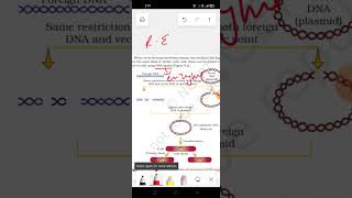 Diagrammatic representation of recombinant DNA 🧬 technology biology biotechnology 12th doubts [upl. by Matronna838]