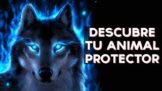 ¿Cuál es tu Animal Protector  Test Divertidos [upl. by Notnyw]