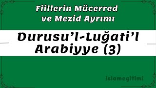 Mücerred ve Mezid Fiiller  Durusu’lLuğati’lArabiyye 3Cilt 16 Ders  Medine Arapça Hazırlık [upl. by Li559]