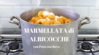 MARMELLATA DI ALBICOCCHE con poco Zucchero BUONISSIMA  RICETTE DI GABRI [upl. by Luebke507]