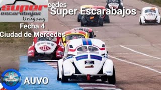 AUVO Super Escarabajos 2016 4a Fecha Ciudad de Mercedes [upl. by Alliuqet]