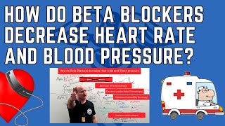 How do Beta Blockers Decrease Heart Rate and Blood Pressure [upl. by Odlanar507]