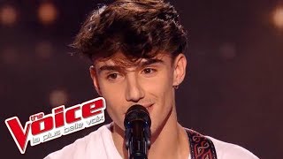 Kodaline – All I Want  Thibaud Maillefer  The Voice France 2016  Blind Audition [upl. by Ahtaga]