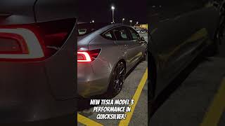 New Tesla Model 3 Performance In Quicksilver teslamodel3 quicksilver model3 model3performance [upl. by Letsyrc]