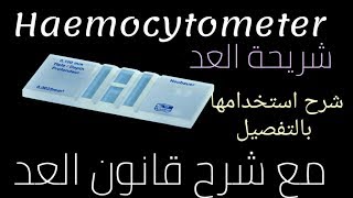 شريحة العد Haemocytometer وقانون العد  تعليم التحاليل الطبية للمبتدئين [upl. by Alyk]