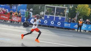 Zieleinlauf beim Berlin Marathon 2022 vom Besten Läufer Eliud Kipchoge [upl. by Elleynad]