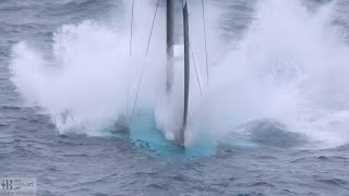 😲 AC40 nosediveAmericas Cup 🥽 [upl. by Euqirat]