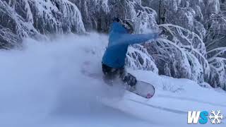 Pescasseroli snowboard freeride nel bosco del Parco Nazionale dAbruzzo [upl. by Orlena2]