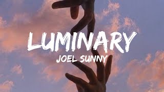 Luminary Loop  Joel Sunny \\tik tok version \\trending song [upl. by Kerstin]