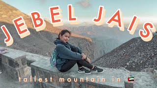 Jebel Jais Trip 2019  Tallest Mountain in UAE [upl. by Maxey761]