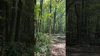 deepcreek maryland md travel hiking travelfamily hikes outdoors [upl. by Nnylyram217]