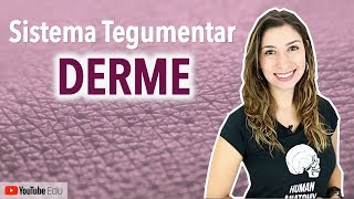 Derme Sistema Tegumentar 34  Anatomia etc [upl. by Forland]