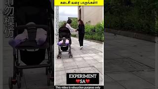 💥😱PUPPY SAVES SMALL BABY😱💥experimentsa facts emotion treading shorts funny cuteanimal sa [upl. by Mitzl]