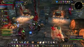 Shadowfang Keep PROTECTION Paladin Role Tank WoW 335 gameplay Chromiecraft [upl. by Mara]