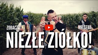 MR SEBII  NIEZŁE ZIÓŁKO  ZIOŁO Official Video Nowość Disco Polo [upl. by Llertnahs567]