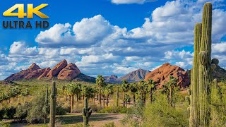 Phoenix to Tucson Complete Arizona Scenic Drive 4K [upl. by Murat]