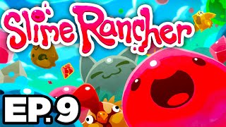 🐝 HONEY SLIMES amp HUNTER SLIMES EXPLORING MOSS BLANKET  Slime Rancher Ep9 Gameplay Let’s Play [upl. by Hamehseer827]