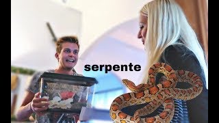 Mamma ho comprato un serpente [upl. by Ahslek]