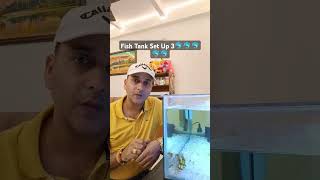 Fish Tank Set Up 3 Best Feed 🐬🐬🐬🐬🐬 [upl. by Liddle]