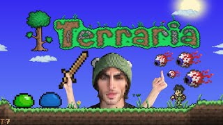 I am a PRO Terraria Player [upl. by Aneret357]