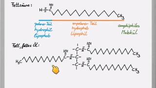 Löslichkeit von Fettsäuren und Lipiden [upl. by Filmer]