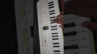 Casiotone SA 80 keyboard [upl. by Etnor555]