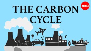 The carbon cycle  Nathaniel Manning [upl. by Fortune]