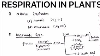 RESPIRATION IN PLANTS NOTESbotanybydrjaswinderkaur [upl. by Terza]