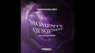 Trinidadian Deep  Moments Of Sounds Cee ElAssaad Remix [upl. by Anaeli]