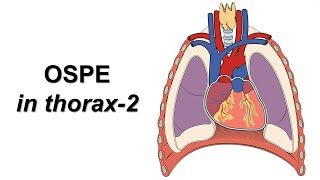 OSPE in thorax part2 Prof Dr Md Ashfaqur Rahman [upl. by Enoob536]