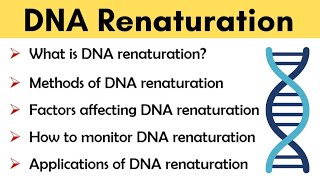 DNA renaturation  Methods or causes applications and monitoring [upl. by Eilarol]