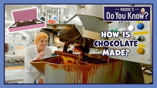 How is Chocolate made 🍫 Maddies Do You Know 👩 [upl. by Yellehs988]