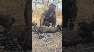 Hunting and Cooking porcupine with Hadzabe Tribe hadzabetribe viral [upl. by Eibbor371]