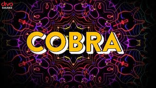 Cobra  Official Music Video  RBalaji [upl. by Acimaj670]