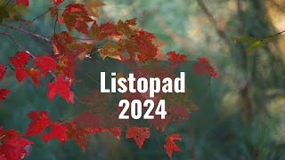 Horoskop dla wszystkich znaków zodiaku na listopad 2024 [upl. by Ennayt]