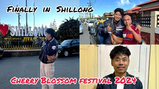 Cherry Blossom festival in Shillong 🤪 shillong tour plan itanager to Shillong shillongvlogs part1 [upl. by Lekim]