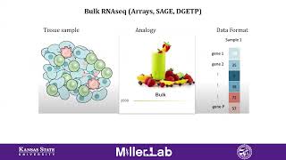 Dr Laura C Miller Diagnostic Medicine and Pathobiology Transcriptomics for Biomarker Discovery [upl. by Jakoba]