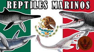 REPTILES MARINOS ENCONTRADOS EN MÉXICO [upl. by Aiselad]