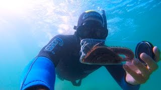 Gopro HERO 4  Catching a BOBBIT WORM [upl. by Delmar]