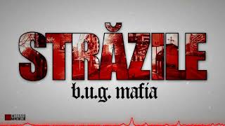 OneAINation  quotStrăzilequot Cover bugmafia [upl. by Nesnaj38]