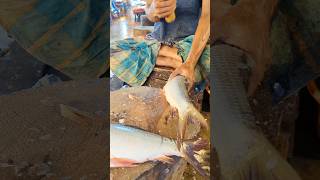 Amazing Big Mrigal Fish Cutting Skills Live In BD Fish7Market [upl. by Aicirtac]