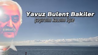 Yavuz Bülent Bakiler Şaşırdım Kaldım İşte Şiir [upl. by Helsie509]