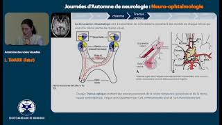 1 L TAMAOUI Rabat Anatomie des voies visuelles 0002 0001 [upl. by Issor]