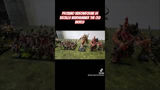 🔥Próximo Videoinforme de batalla Warhammer The Old World Reinos Ogros Vs Hombres Bestias🔥 [upl. by Aikemahs]